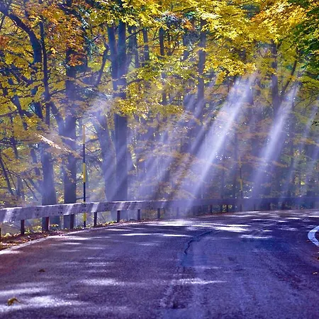 Hotel Pini Corniolo (Emilia-Romagna)