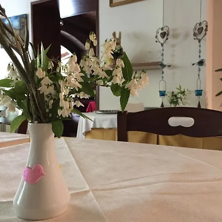 Ξενοδοχείο Pini 3*