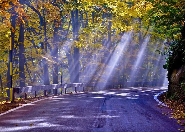 Hotel Pini Corniolo (Emilia-Romagna)